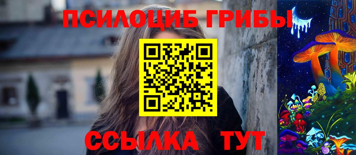 купить наркотик  Вход с VPN  Скопин  Псилоцибиновые грибы Psilocybine cubensis 